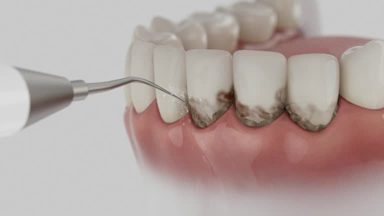 Reliable Dental contractor in Murphys Estates, SC by Dentist Open Now